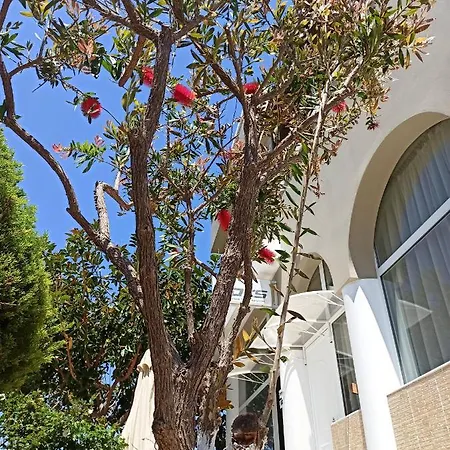 Emily's House *